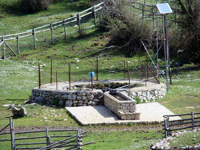 Fontanili del Lazio